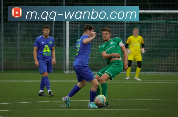 万博体育服务体系